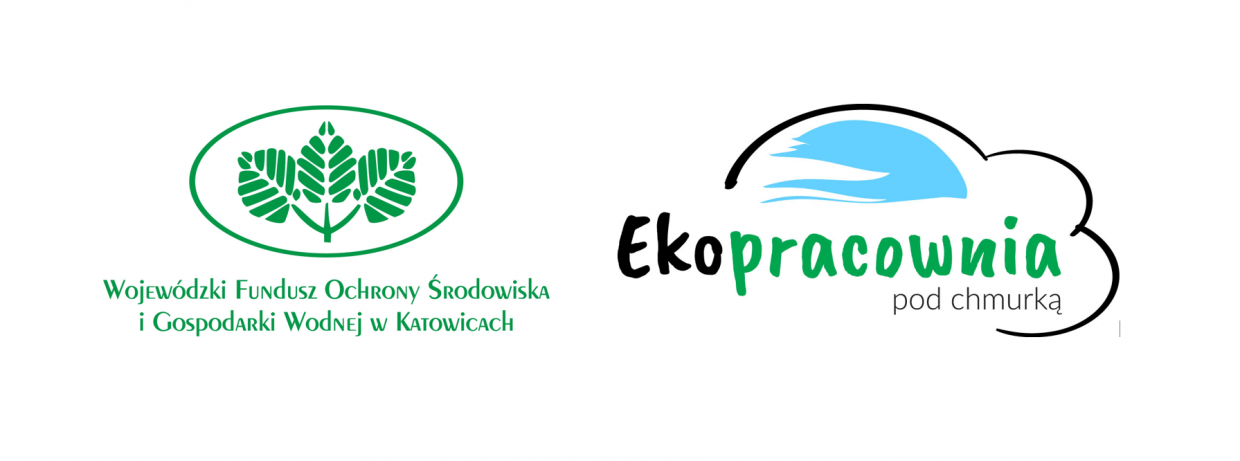 Logotypy Wojewódzkiego Funduszu Ochrony Środowiska i Gospodarki Wodnej w Katowicach i programu Ekopracownia pod chmurką