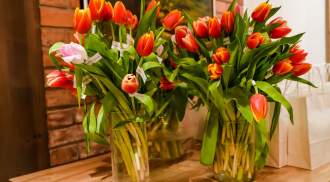 Dzień Kobiet fot. M. Kuźma