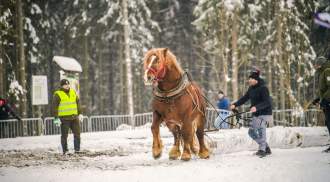 Zimowe Zawody Furmanów fot. Michał Kuźma