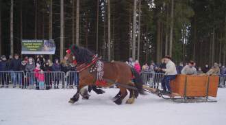 XX Zawody Furmanów