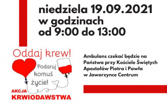 Grafika poświęcona akcji