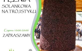 Grafika informacyjna dotycząca tężni solankowej na Trójstyku