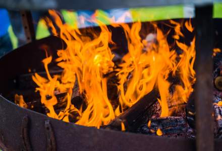 Dziewięćsił Festiwal fot. M. Kuźma