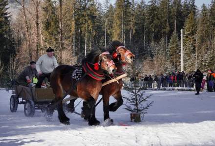 Zawody Furmanów 2025; fot. Bronka Polok
