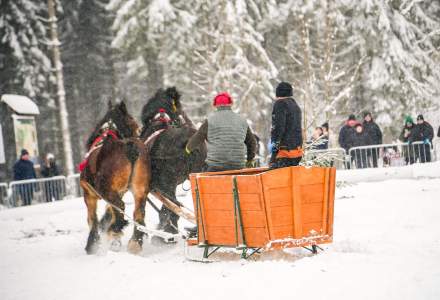 Zawody Furmanów 2026 fot. M. Kuźma