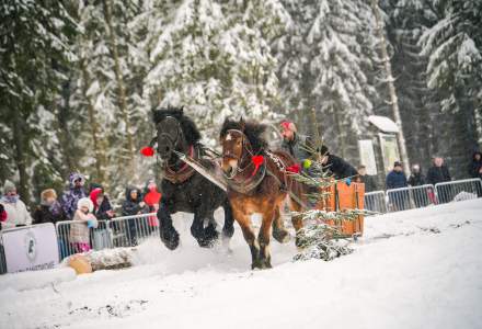 Zawody Furmanów 2026 fot. M. Kuźma