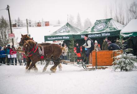 Zawody Furmanów 2026 fot. M. Kuźma