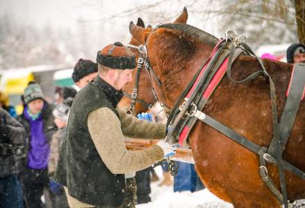 Zawody Furmanów 2026 fot. M. Kuźma