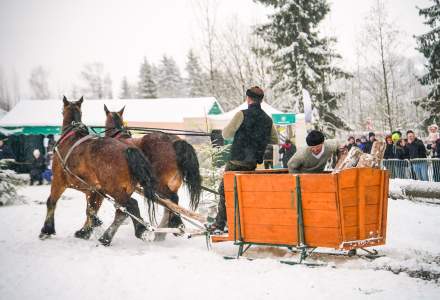 Zawody Furmanów 2026 fot. M. Kuźma