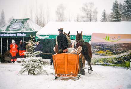 Zawody Furmanów 2026 fot. M. Kuźma