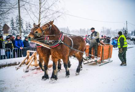 Zawody Furmanów 2026 fot. M. Kuźma