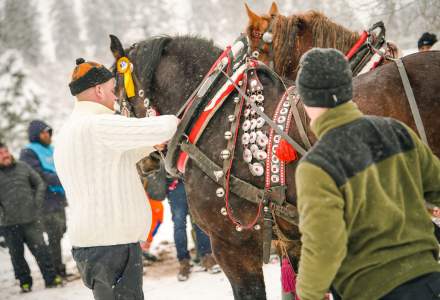 Zawody Furmanów 2026 fot. M. Kuźma