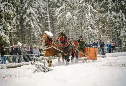 Zawody Furmanów 2026 fot. M. Kuźma