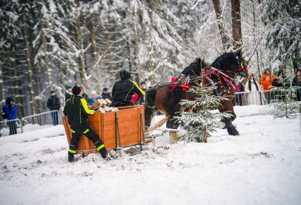 Zawody Furmanów 2026 fot. M. Kuźma