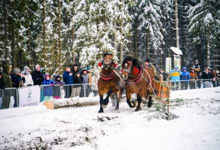 Zawody Furmanów 2026 fot. M. Kuźma