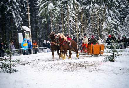 Zawody Furmanów 2026 fot. M. Kuźma