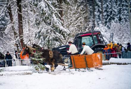Zawody Furmanów 2026 fot. M. Kuźma