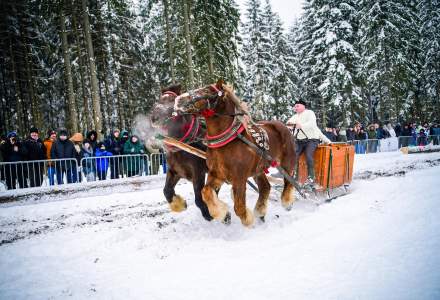 Zawody Furmanów 2026 fot. M. Kuźma