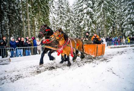 Zawody Furmanów 2026 fot. M. Kuźma