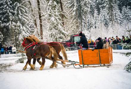 Zawody Furmanów 2026 fot. M. Kuźma