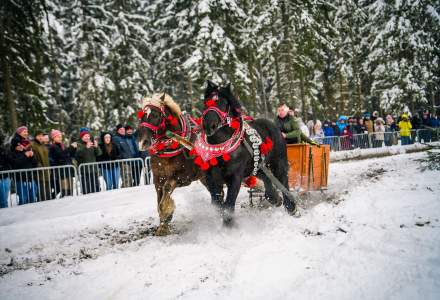 Zawody Furmanów 2026 fot. M. Kuźma