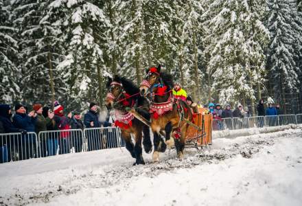 Zawody Furmanów 2026 fot. M. Kuźma