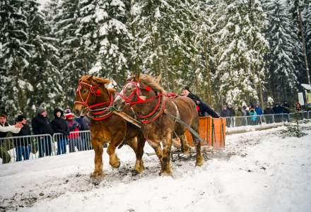 Zawody Furmanów 2026 fot. M. Kuźma
