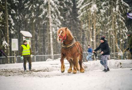 Zimowe Zawody Furmanów fot. Michał Kuźma