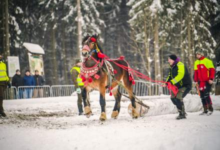 Zimowe Zawody Furmanów fot. Michał Kuźma