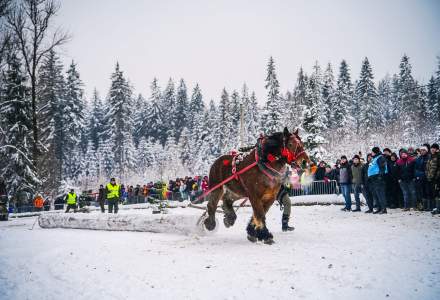 Zimowe Zawody Furmanów fot. Michał Kuźma