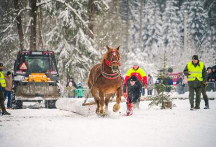 Zimowe Zawody Furmanów fot. Michał Kuźma
