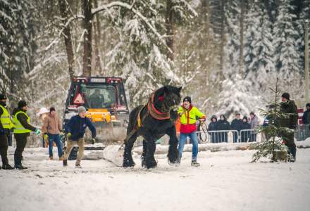 Zimowe Zawody Furmanów fot. Michał Kuźma