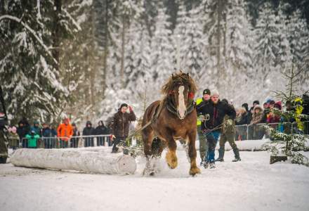 Zimowe Zawody Furmanów fot. Michał Kuźma