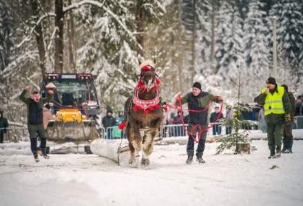 Zimowe Zawody Furmanów fot. Michał Kuźma