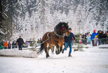 Zimowe Zawody Furmanów fot. Michał Kuźma