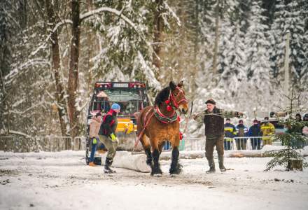 Zimowe Zawody Furmanów fot. Michał Kuźma