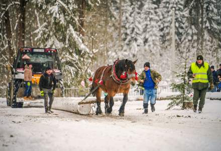 Zimowe Zawody Furmanów fot. Michał Kuźma