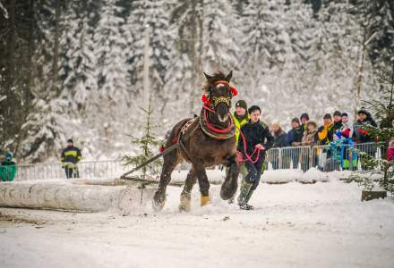 Zimowe Zawody Furmanów fot. Michał Kuźma