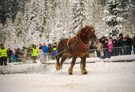 Zimowe Zawody Furmanów fot. Michał Kuźma