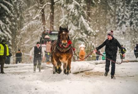 Zimowe Zawody Furmanów fot. Michał Kuźma