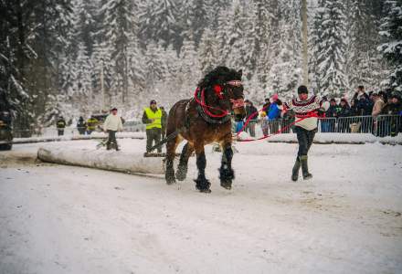 Zimowe Zawody Furmanów fot. Michał Kuźma