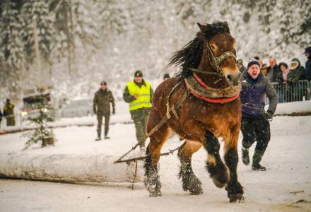 Zimowe Zawody Furmanów fot. Michał Kuźma