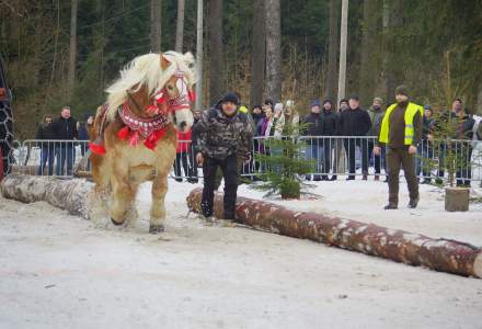 XX Zawody Furmanów