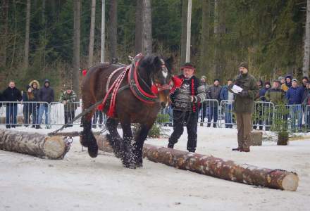 XX Zawody Furmanów