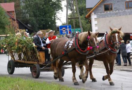 Dożynki 2012