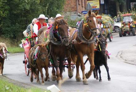 Dożynki 2012