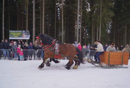 XX Zawody Furmanów