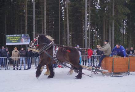 XX Zawody Furmanów