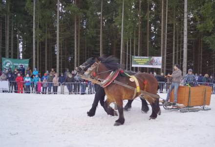 XX Zawody Furmanów