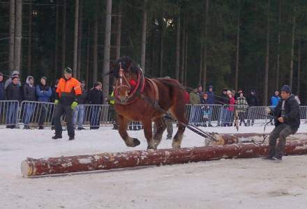 XX Zawody Furmanów